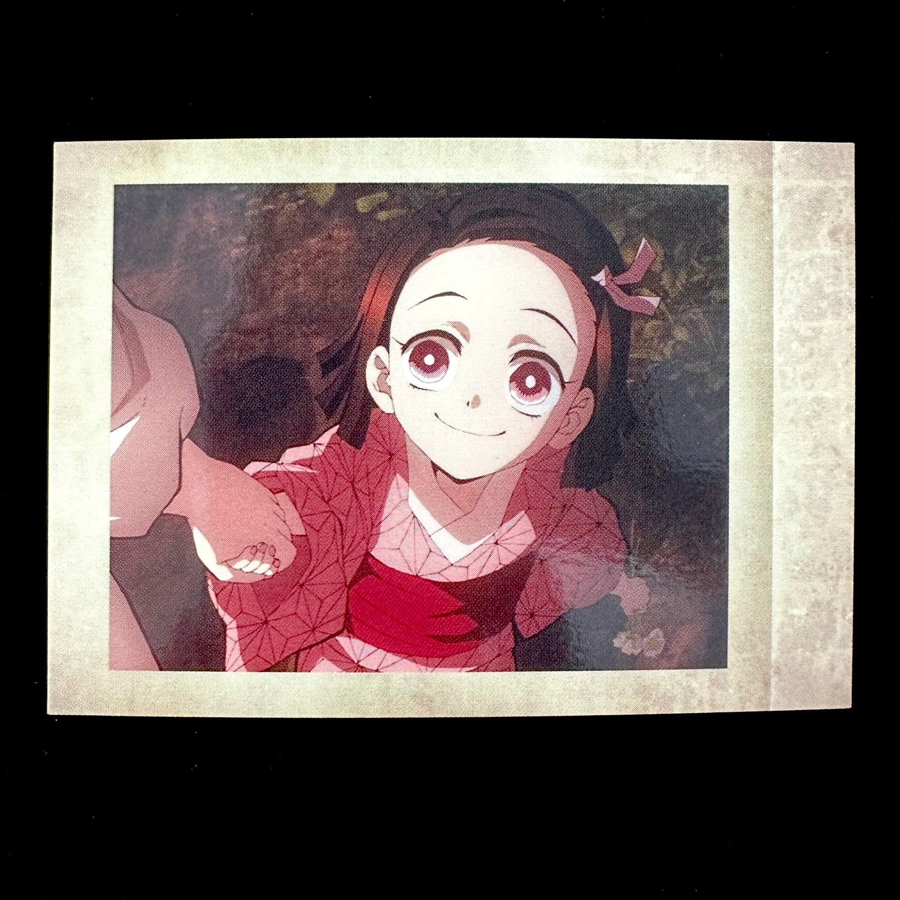 polaroid nezuko