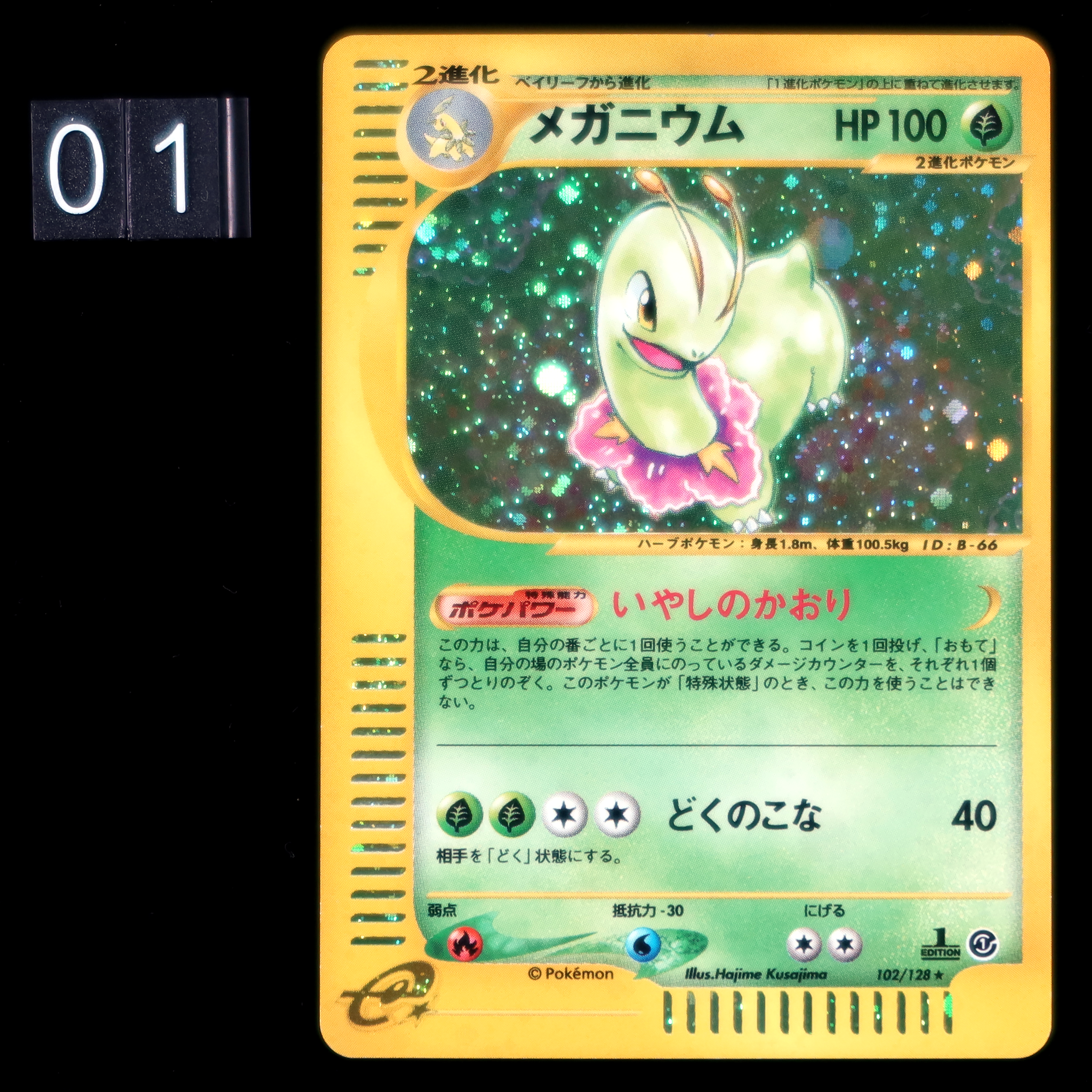 Kit Com 2 Cartas Pokémon Japonês - Ekans - Feraligatr