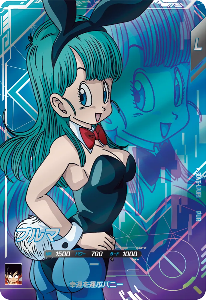 DRAGON BALL SUPER DIVERS SDV5-LPUR1