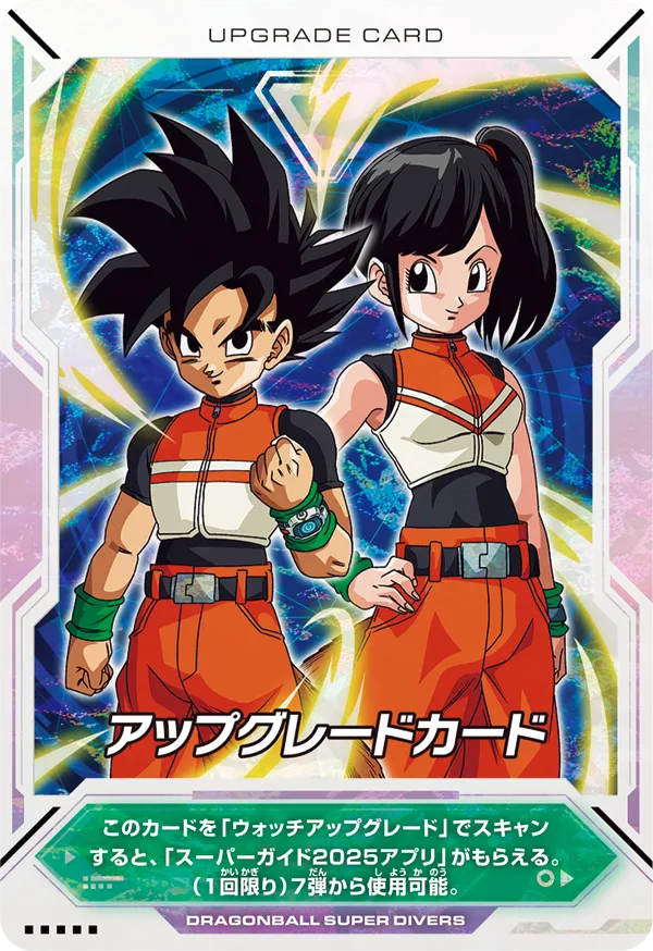 DRAGON BALL SUPER DIVERS 1st ANNIVERSARY SUPER GUIDE