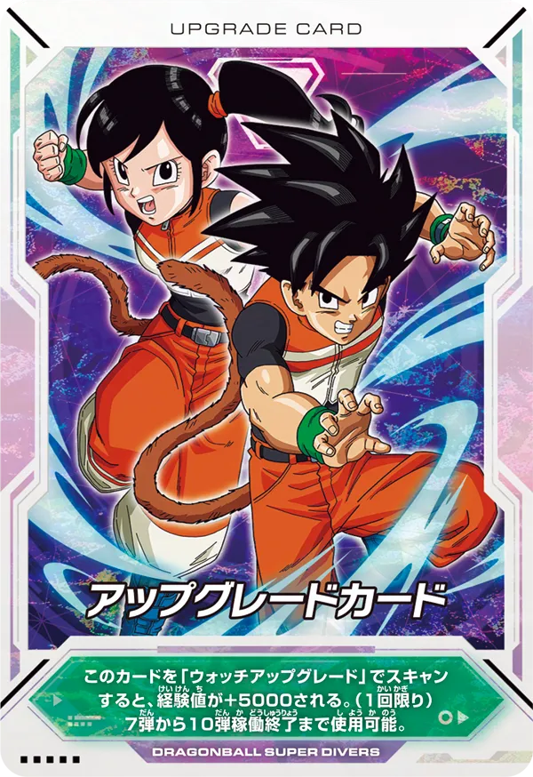 DRAGON BALL SUPER DIVERS 1st ANNIVERSARY SUPER GUIDE