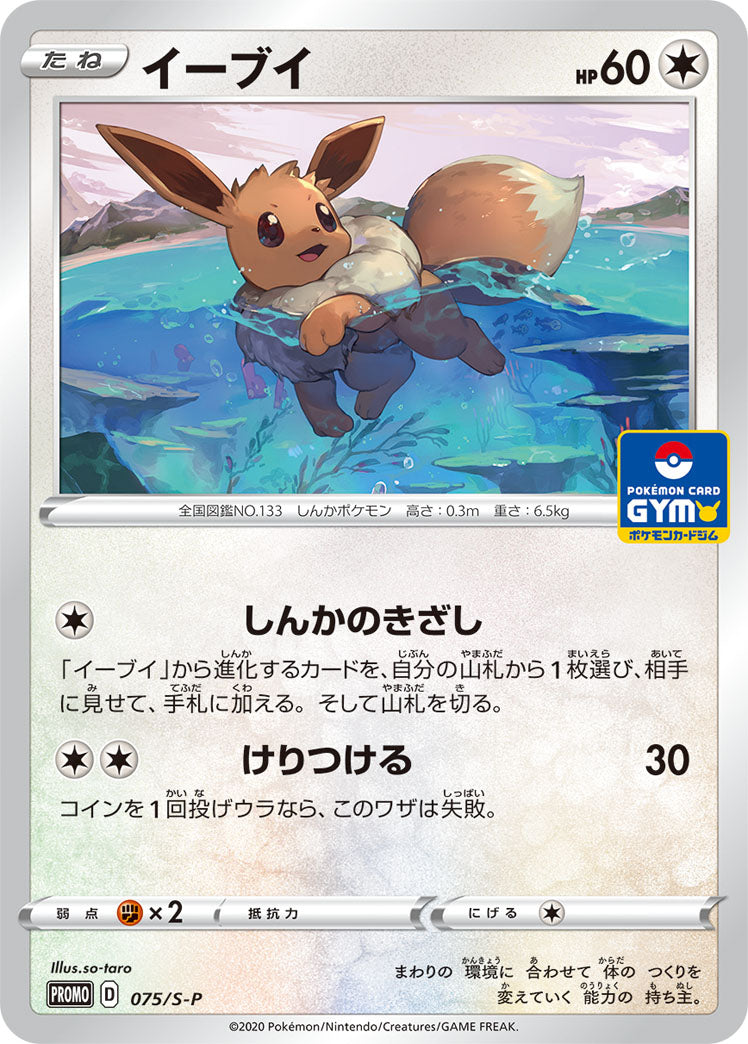 Pokémon Card Game Sword & Shield PROMO 075/S-P POKÉMON CARD GYM promo card pack #3 July 10 2020 Eevee
