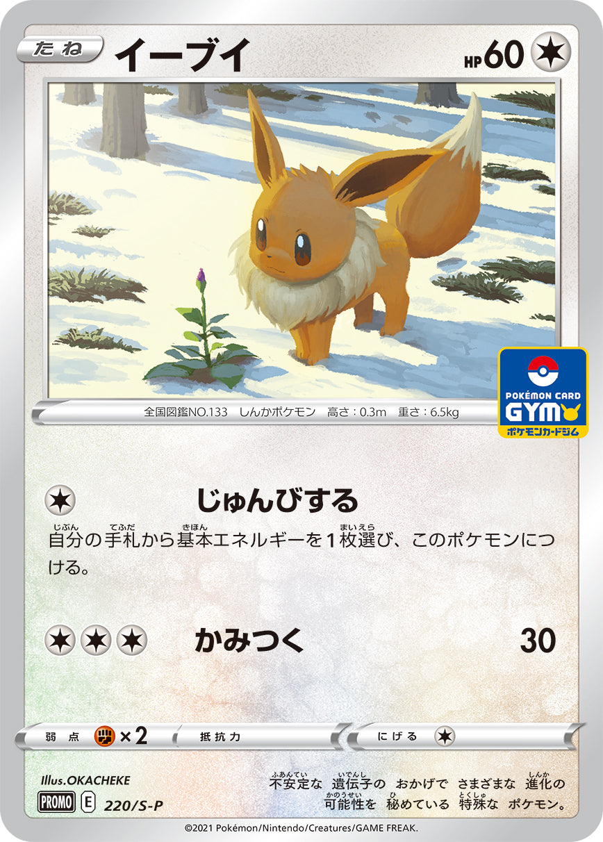 Pokémon Card Game Sword & Shield PROMO 220/S-P POKÉMON CARD GYM promo card pack # Release date: 2021 Eevee