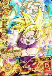 DRAGON BALL HEROES H1-35