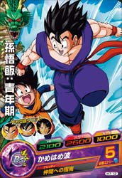 DRAGON BALL HEROES H7-12
