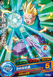 DRAGON BALL HEROES HGD7-49