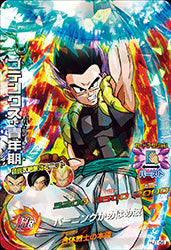 DRAGON BALL HEROES HJ1-56