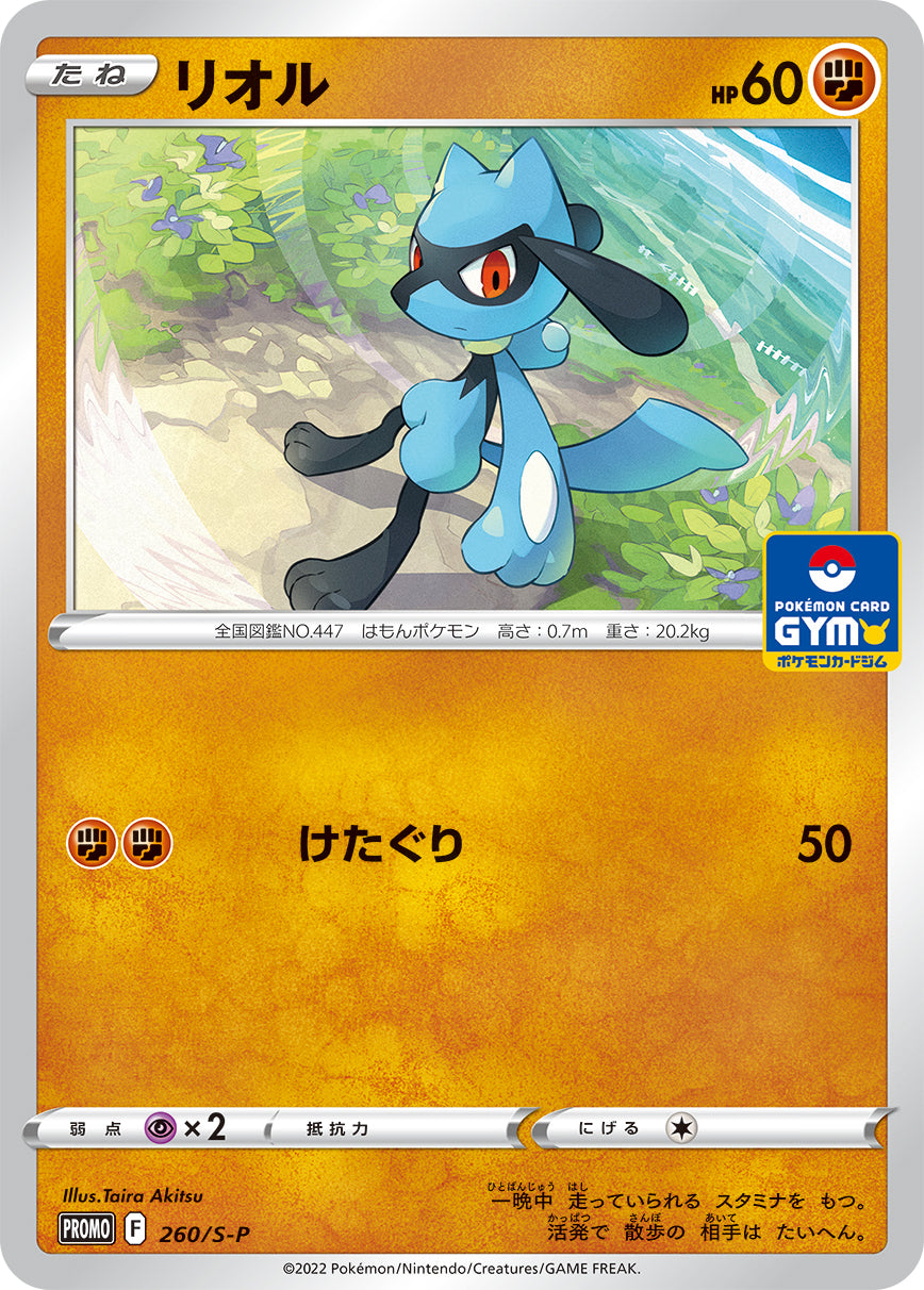 Pokémon Card Game Sword & Shield PROMO 260/S-P  POKÉMON CARD GYM promo card pack  Riolu
