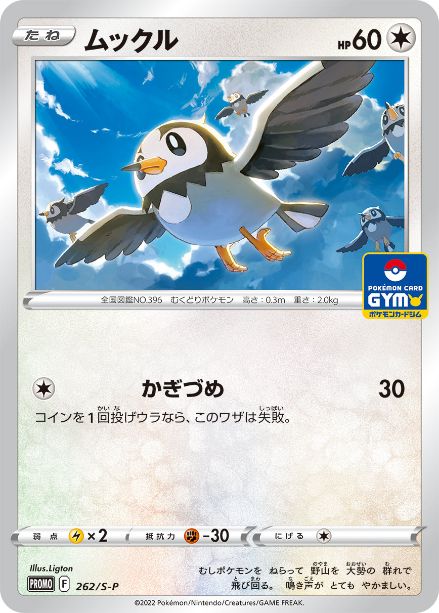 Pokémon Card Game Sword & Shield PROMO 262/S-P  POKÉMON CARD GYM promo card pack  Starly