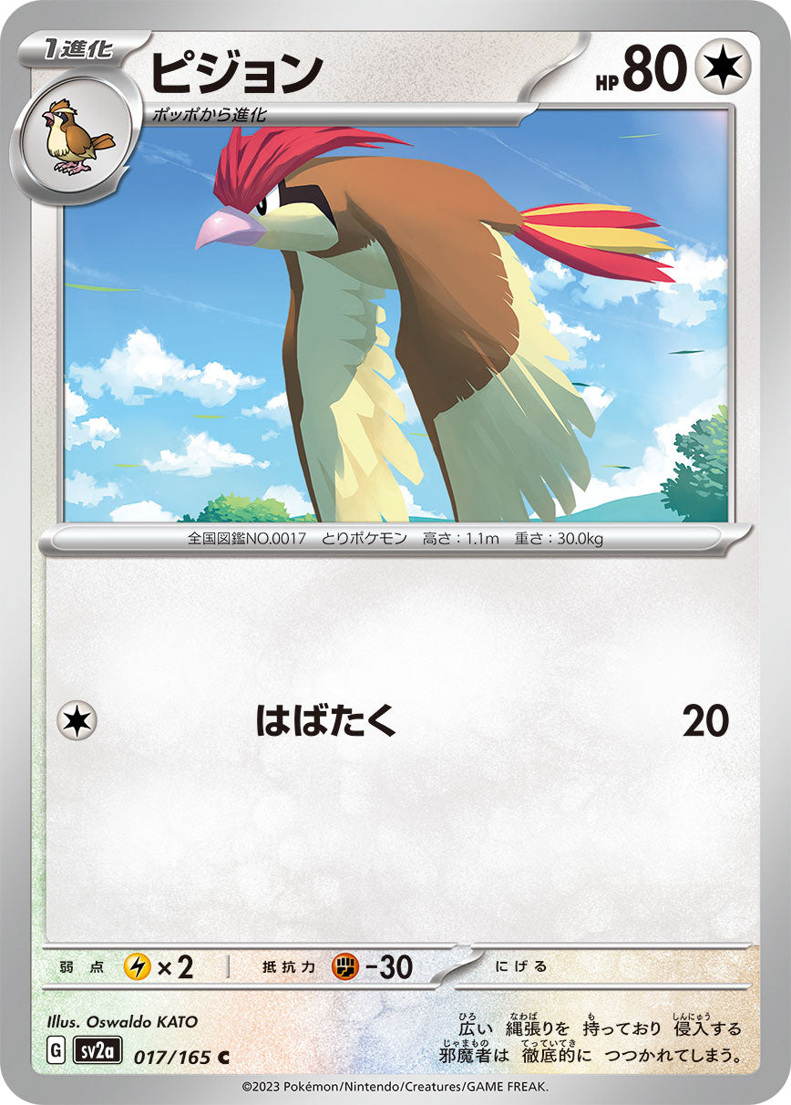 POKÉMON CARD GAME SCARLET & VIOLET expansion pack ｢POKÉMON 151｣  POKÉMON CARD GAME sv2a 017/165 Common card  Pidgeotto