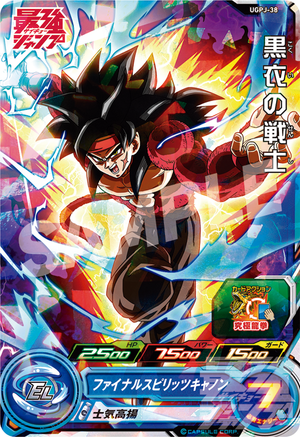 Descriptive image text