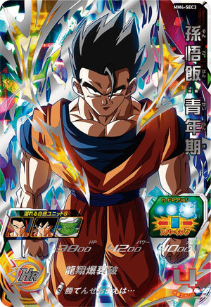 Descriptive image text