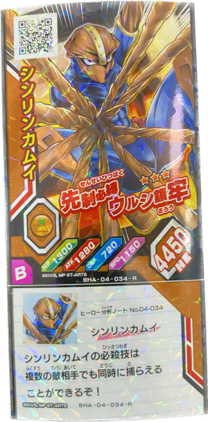 Descriptive image text