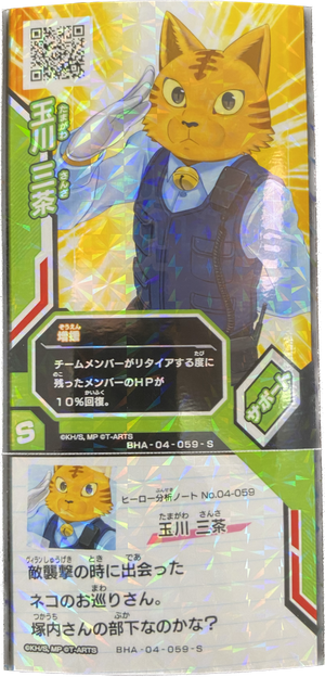 Descriptive image text