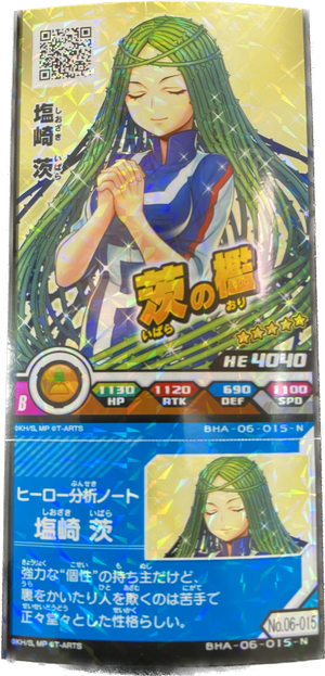 Descriptive image text