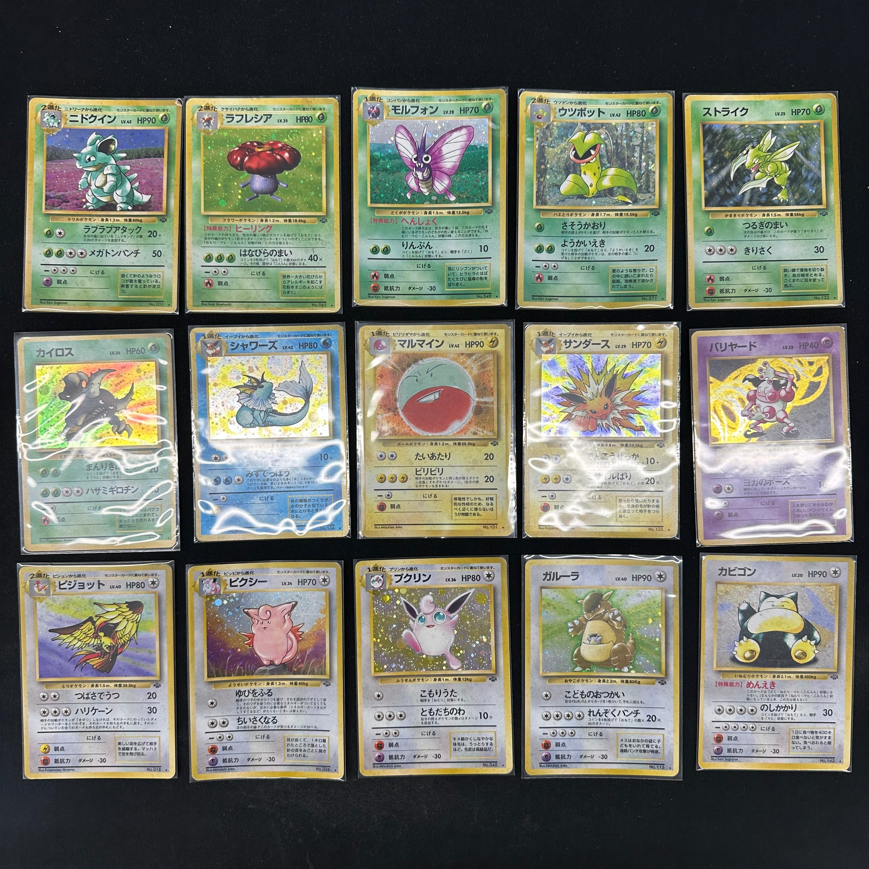 Pokémon Card Game POCKET MONSTER Jungle edition complete 48 damaged cards