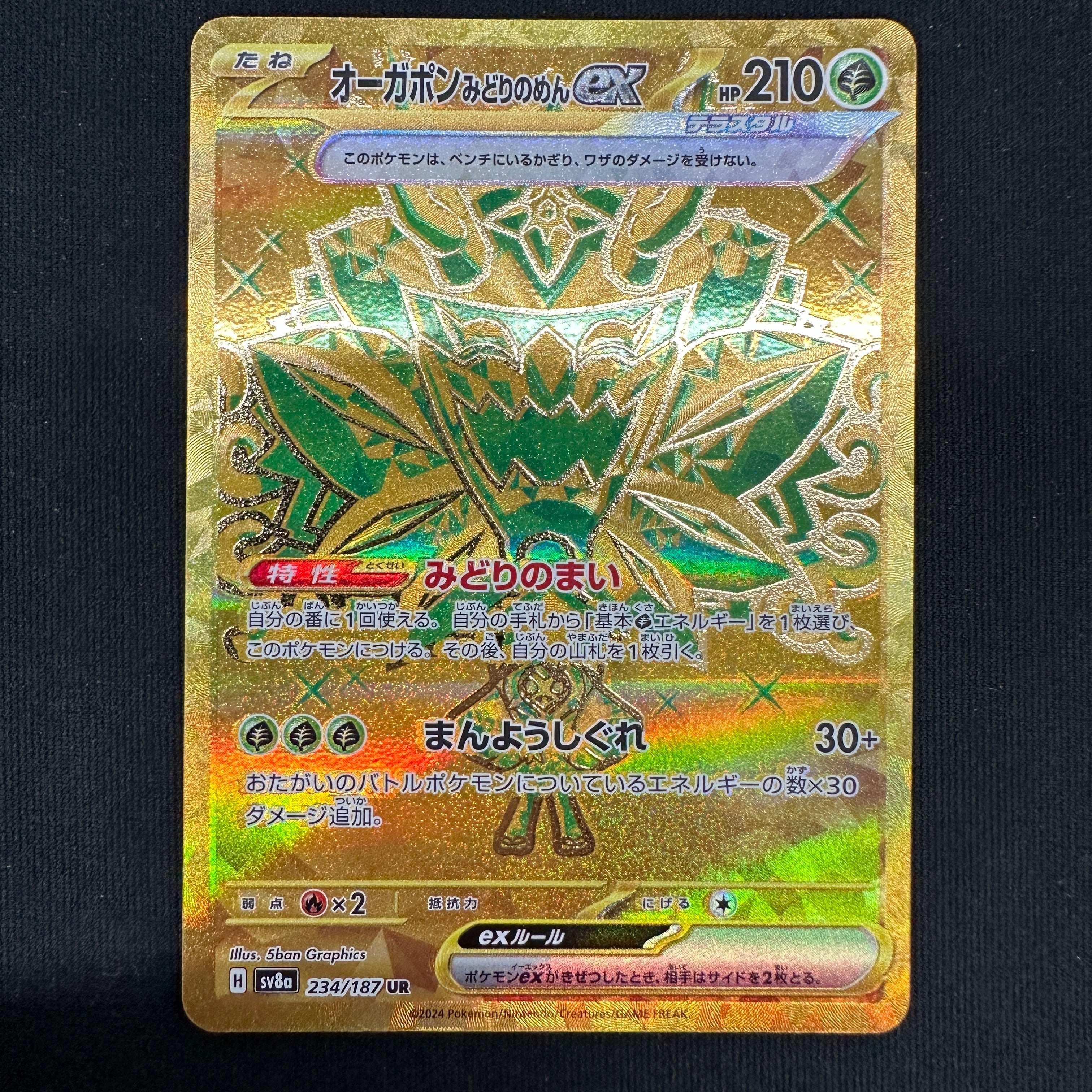 POKÉMON CARD GAME sv8a 234/187 UR