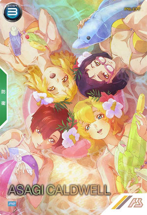 Descriptive image text