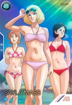 Descriptive image text