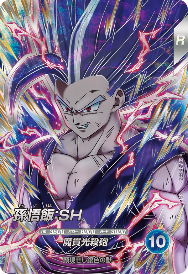 DRAGON BALL SUPER DIVERS SDV10-SEC2 Secret card


Son Gohan : SH
