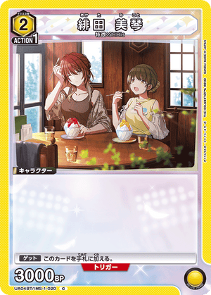 Descriptive image text