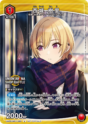 Descriptive image text