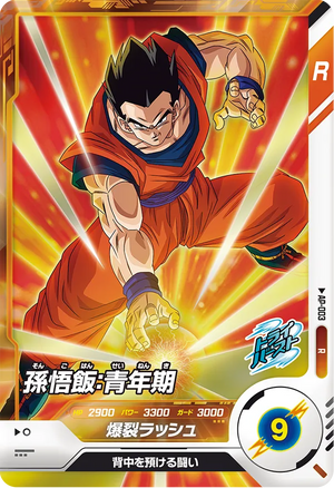 Descriptive image text