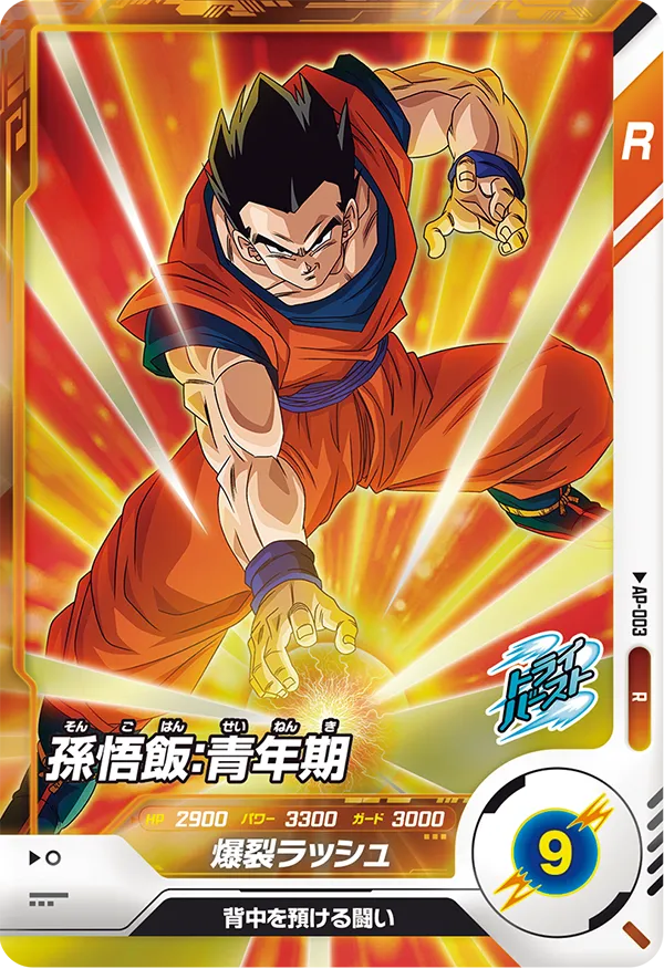 DRAGON BALL SUPER DIVERS AP-003

Son Gohan : Seinenki