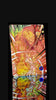 DRAGON BALL SUPER DIVERS SDV11-059 GDR Parallel