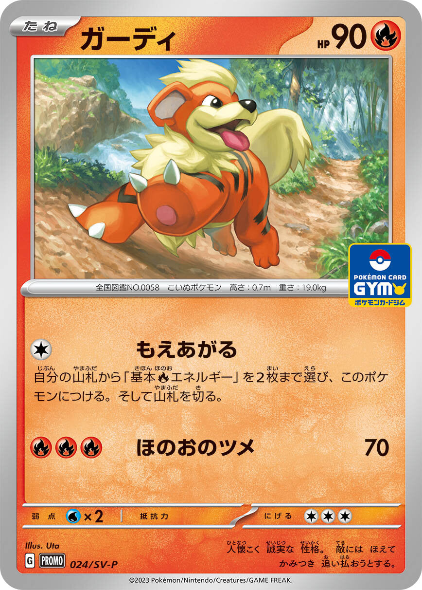 Pokémon Card Game SCARLET & VIOLET PROMO 024/S-P  POKÉMON CARD GYM  Release date: January 20 2023  Growlithe
