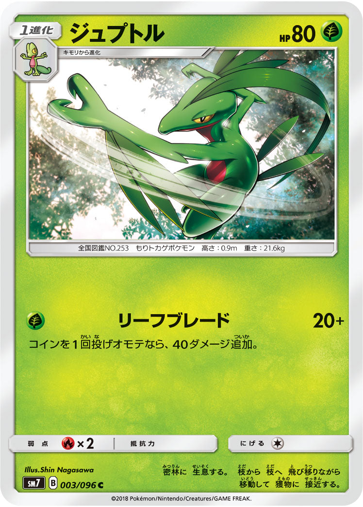 Pokémon card game / PK-SM7-003 C