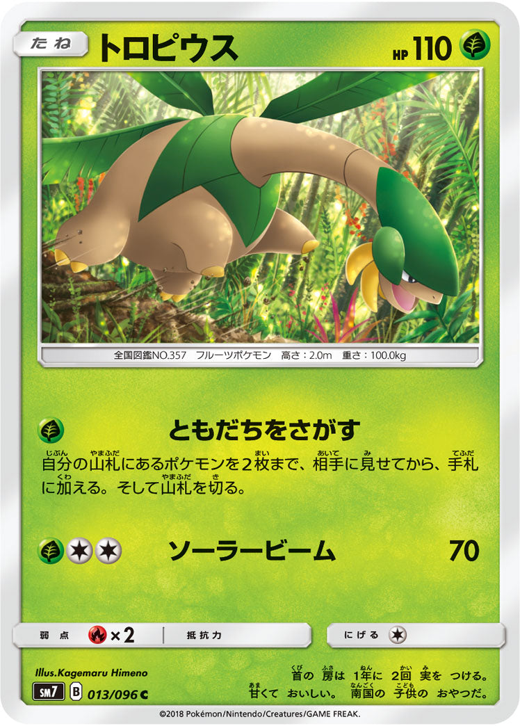 Pokémon card game / PK-SM7-013 C