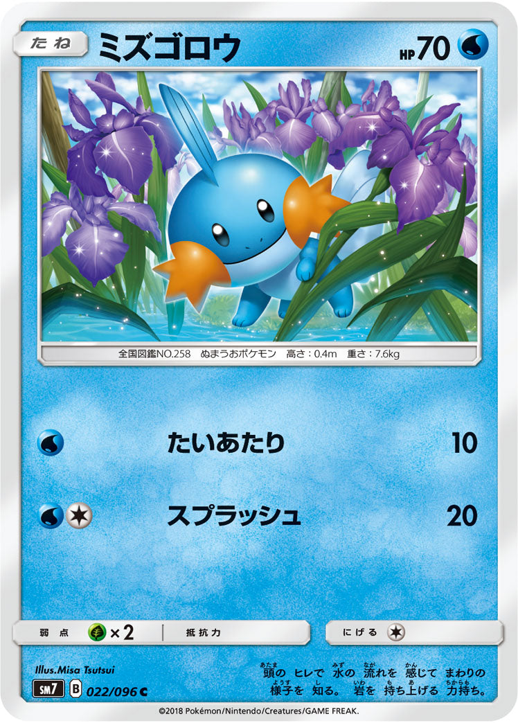 Pokémon card game / PK-SM7-022 C