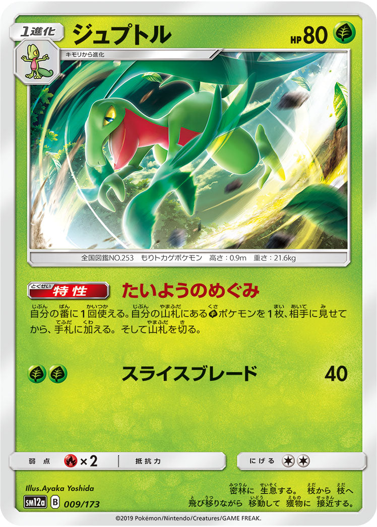 Pokémon Card Game SM12a 009/173