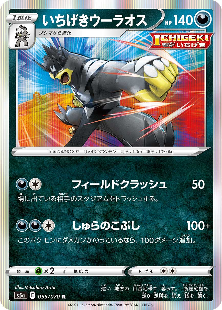 POKÉMON CARD GAME S5a 055/070 R