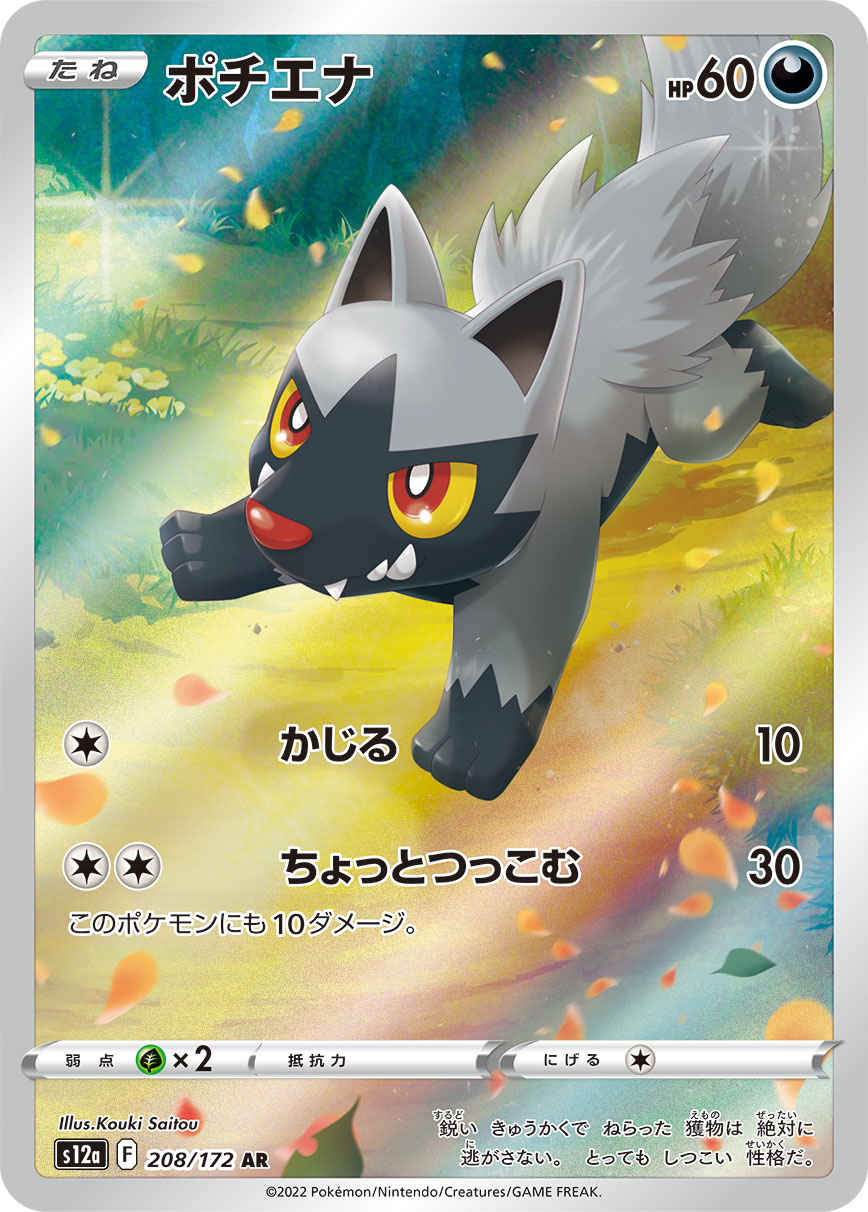 POKÉMON CARD GAME s12a 208/172 AR Poochyena