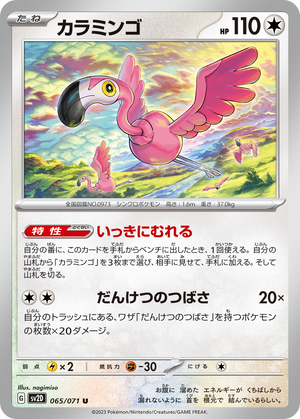 Descriptive image text