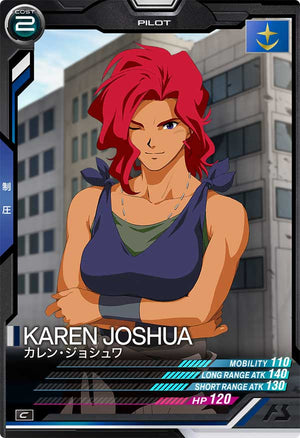 Descriptive image text