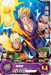 Descriptive image text