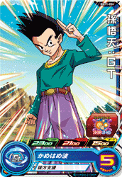 Descriptive image text