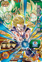 Super dragon ball heroes bm5-tcp2