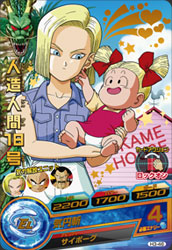 Descriptive image text