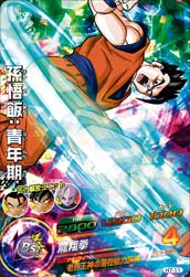 Descriptive image text