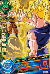 Descriptive image text