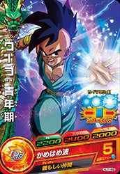 Descriptive image text