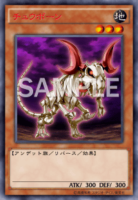 Descriptive image text