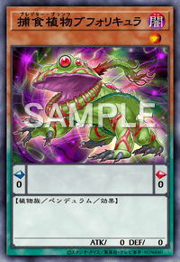 Yu-Gi-Oh! Official Card Game DIFO-JP018