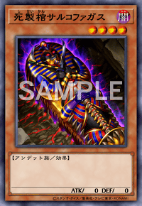Yu-Gi-Oh! Official Card Game DIFO-JP033