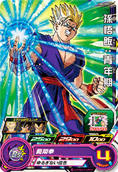 Descriptive image text