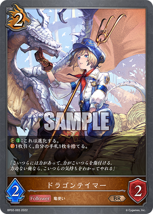 Descriptive image text